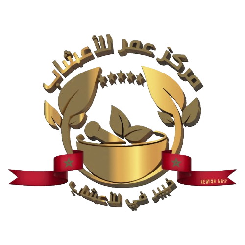 ohb logo 1 removebg preview